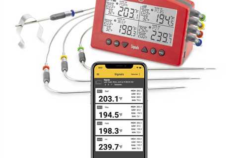 Choosing the Best Thermometer For Your Smoker