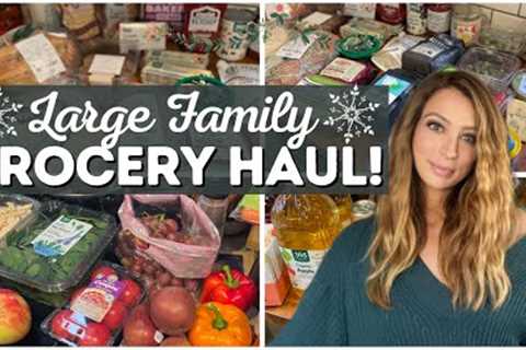 Large Family Grocery Haul | Cheap &amp; Easy Recipes | Vlogmas