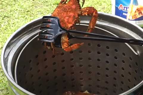 Steamer Pot for Crabs – A Comprehensive Guide to the Perfect Crab Dish!