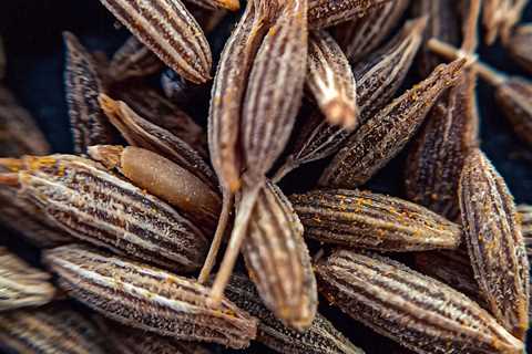 Cumin - A Source of Antioxidants and Improves Blood Sugar Control