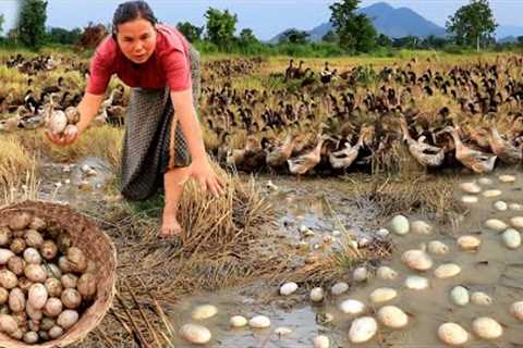 survival in the rainforest - find lots of egg duck &amp; cook for dog with woman - Eating delicious ..