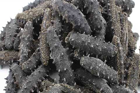 Buying Dried Sea Cucumber: How to Find the Best Quality and Price