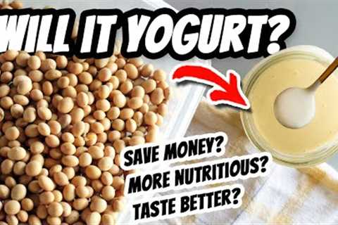 Vegan Yogurt Basics &amp; Which makes BETTER yogurt? 🤜🤛Store-bought VS Homemade Soymilk..