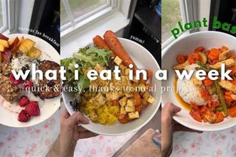 🌱✨ Plant Based What I eat in a week ✨ *realistic*  &amp; easy  thanks to Meal Prep! 🌱