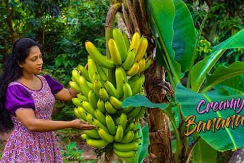 Creamy Bananas! for Honey banana pudding, Chocolate banana chips &amp; Yoghurt lassi | Traditional..