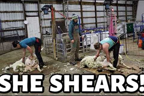 SHE SHEARS!! | night shearing with the ladies, winter prep with hubs, &amp; our down ewe is UP!..