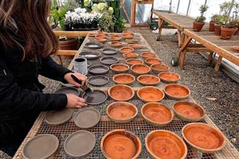 Sealing Terra Cotta Saucers &amp; Thinning Radishes! 🙌💚🌱 // Garden Answer
