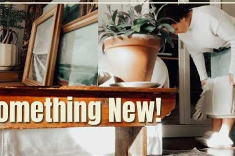 We PUSHED IT IN! | rainy thrift haul &amp; decorating!