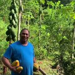 Fletcher from Princes Town