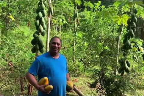 Fletcher from Princes Town