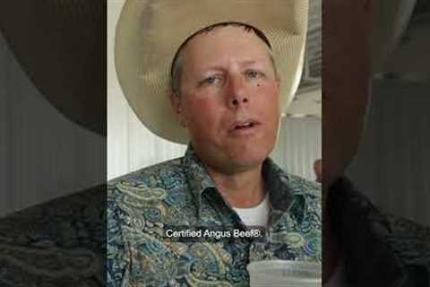 Visit the ranch with Lamar Moore