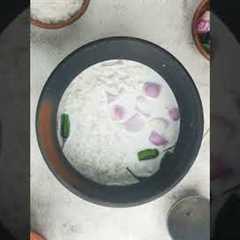 Probiotic Fermented Rice #shorts #recipes