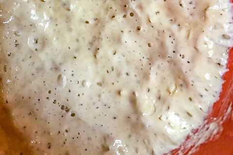 How to Make a Sourdough Starter