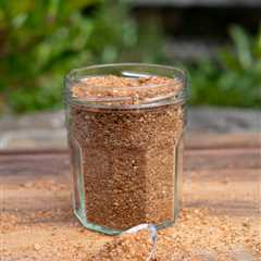 BBQ Pork Rub Recipe